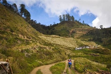 Mt Pulag DIY Travel Guide (via Ambangeg Trail).